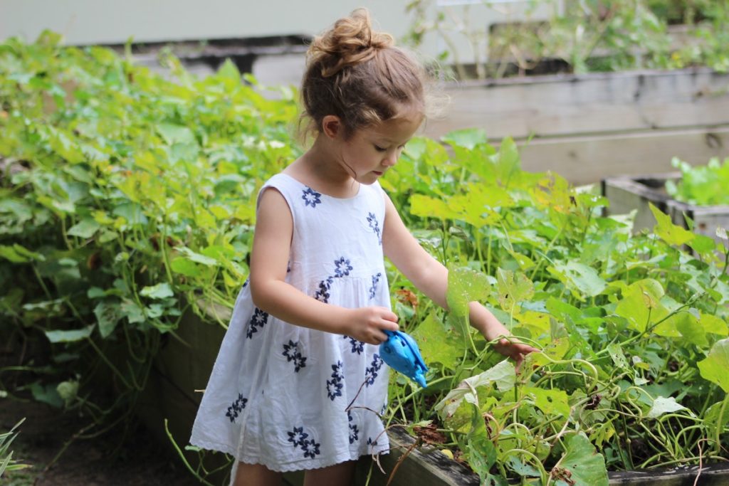 little girl watering the plants