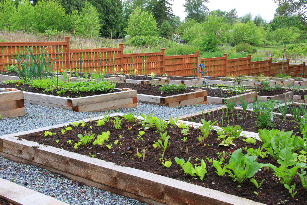 outdoor garden