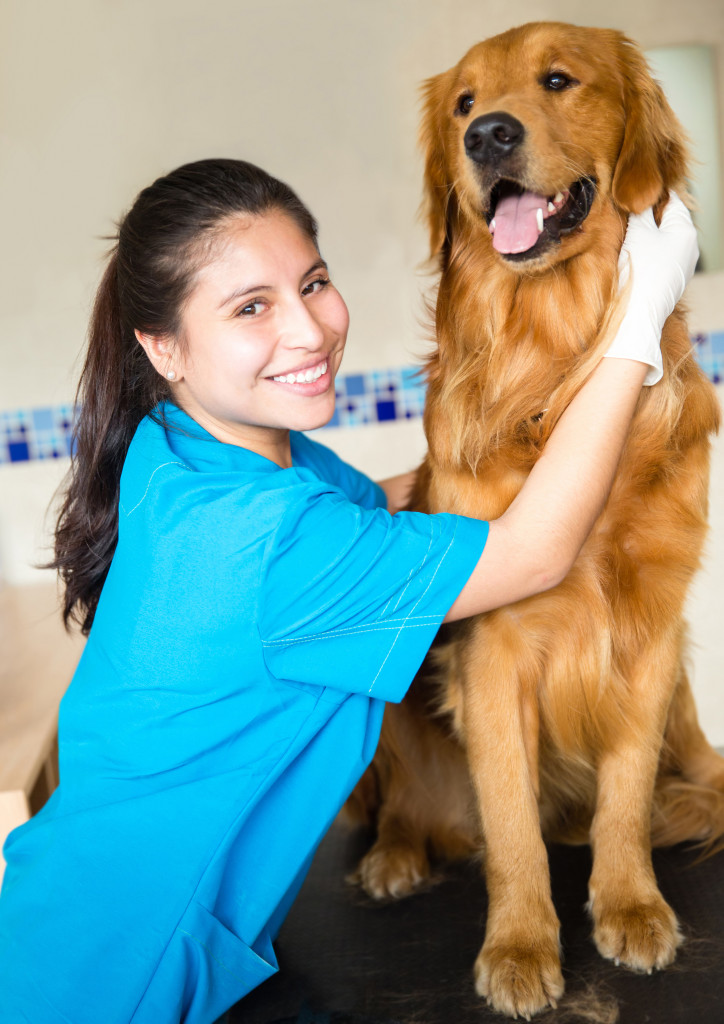 a medical professional smiling with a golden retriever dog besides her