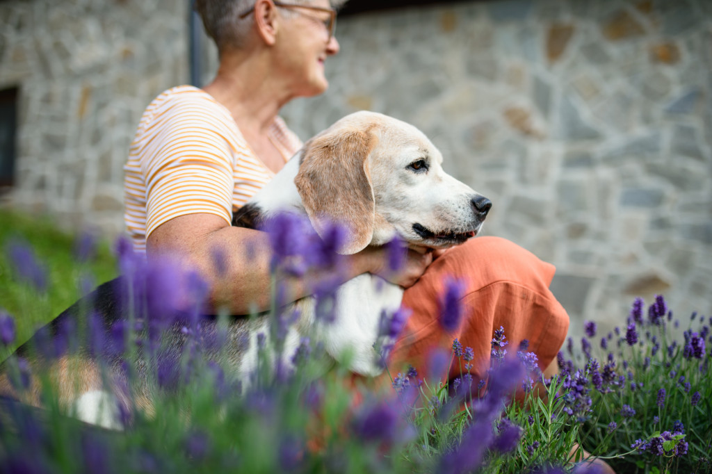 elderly woman sitting beside her dog in the field with flowers all around