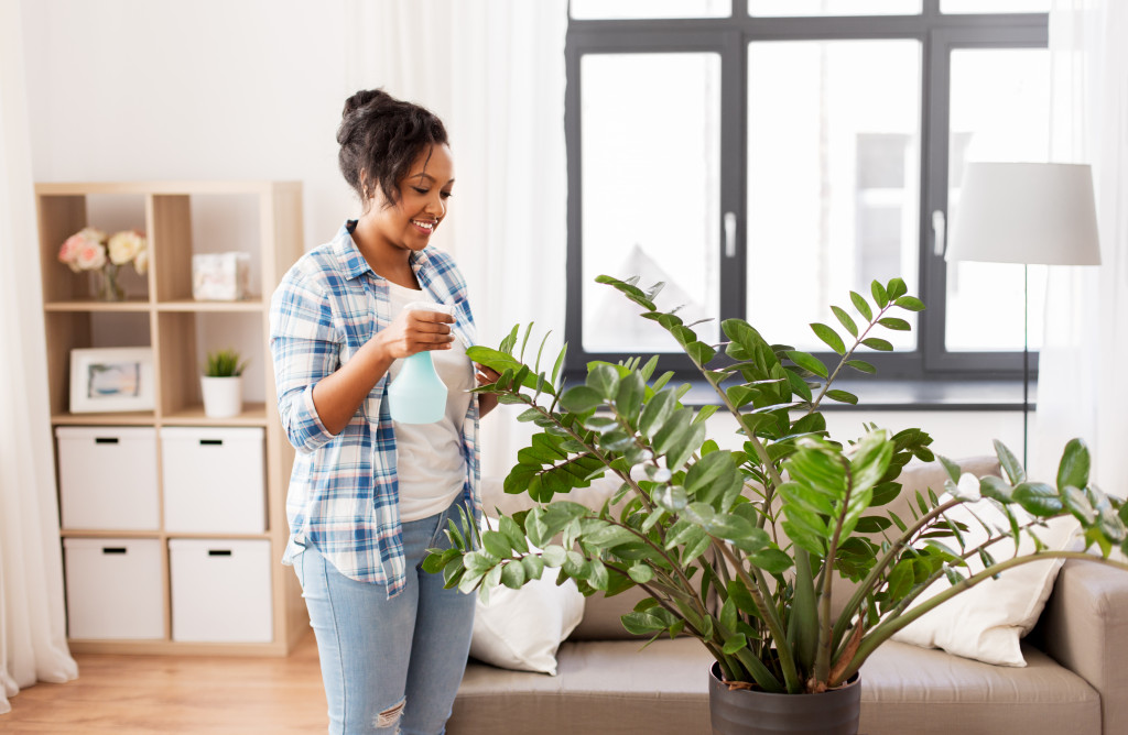 woman watering a plant in a pot a thome